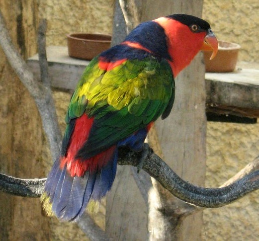 Foto 6